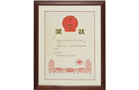 2012年度科學(xué)進(jìn)步獎二等獎
